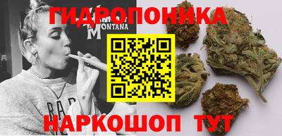 a pvp Конаково