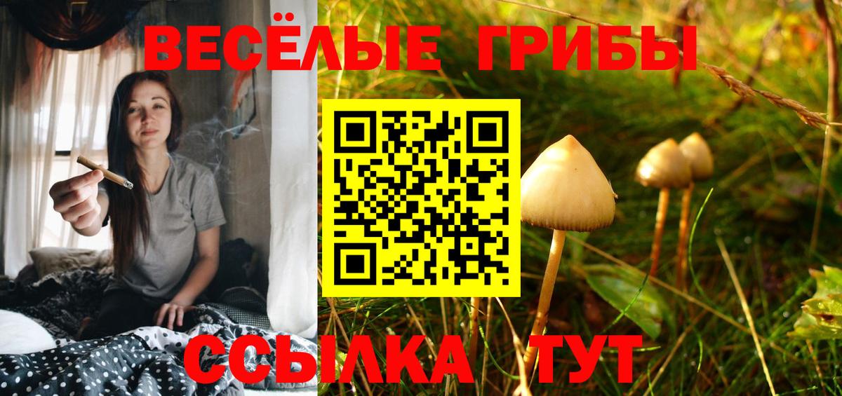 Псилоцибиновые грибы мицелий Владимир