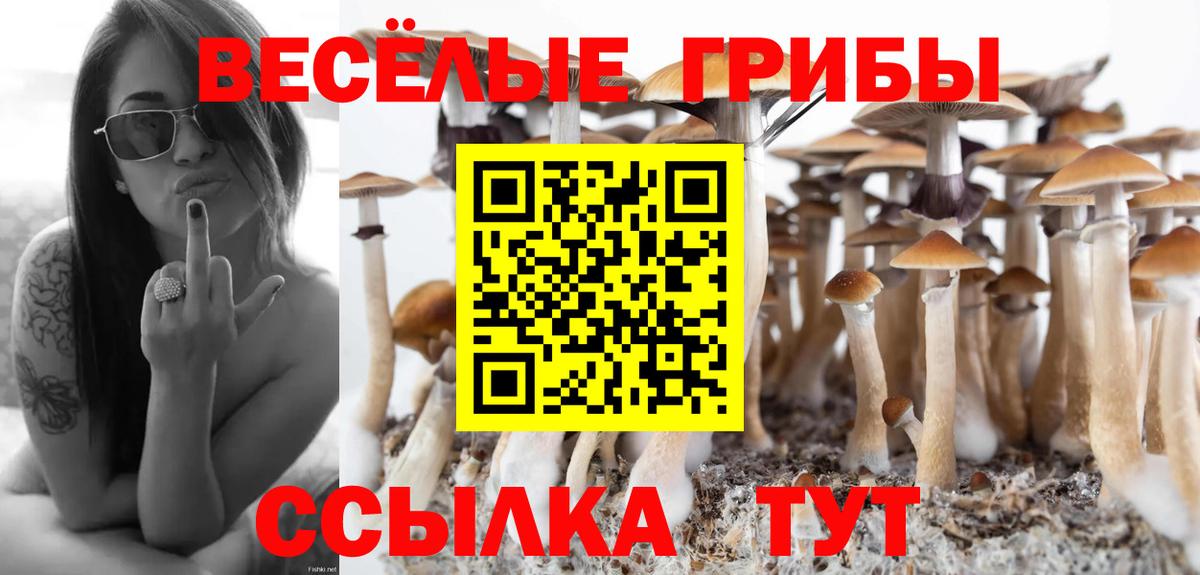 Меф мяу мяу Владимир